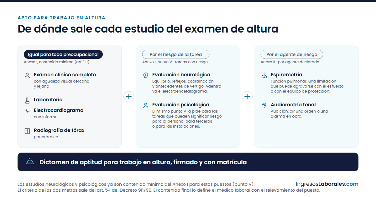De dónde sale cada estudio del examen de altura, en tres columnas. Igual para todo preocupacional, contenido mínimo del Anexo I (art. 11.1): examen clínico completo con agudeza visual cercana y lejana, laboratorio, electrocardiograma con informe y radiografía panorámica de tórax. Por el riesgo de la tarea, Anexo I punto V: evaluación neurológica —equilibrio, reflejos, coordinación y antecedentes de vértigo, con el electroencefalograma adentro— y evaluación psicológica. Por el agente de riesgo declarado, Anexo II: espirometría, que mide la función pulmonar, y audiometría tonal. Cierra con el dictamen de aptitud para trabajo en altura, firmado y con matrícula.