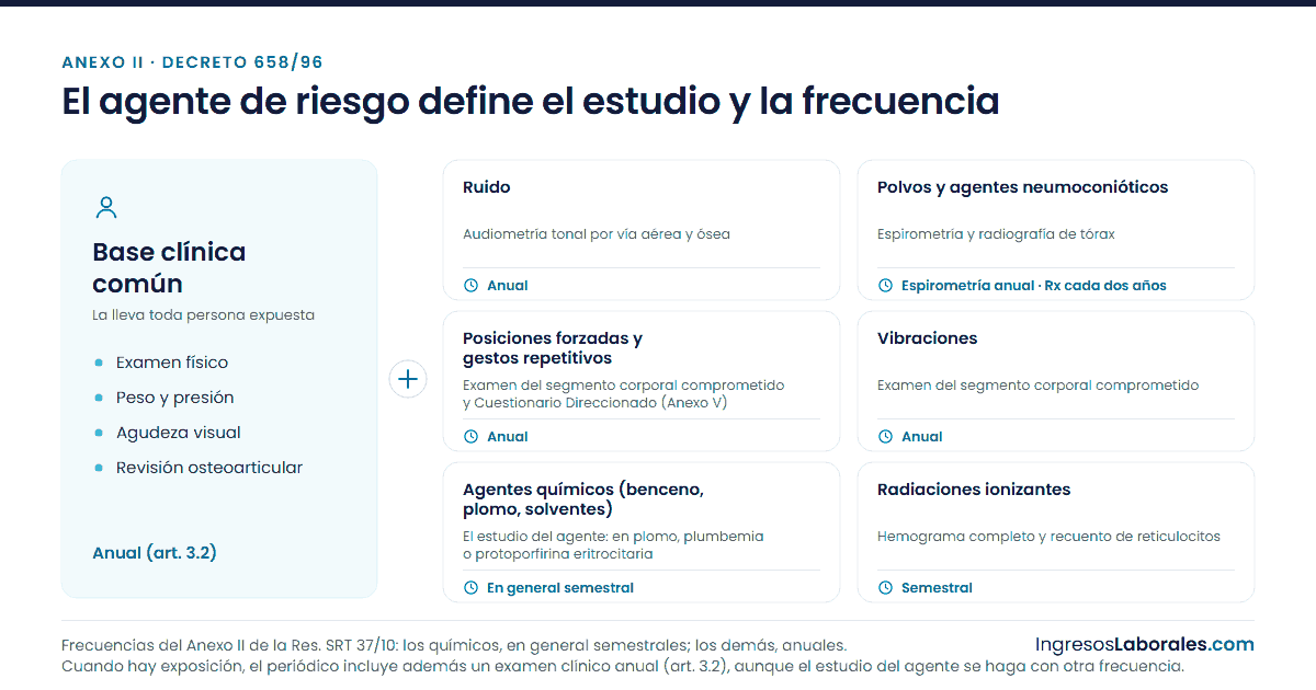 Diagrama de la base clínica del examen periódico y del estudio que suma cada agente de riesgo.